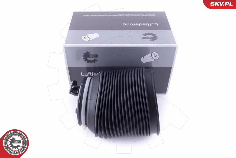 Air Spring, suspension